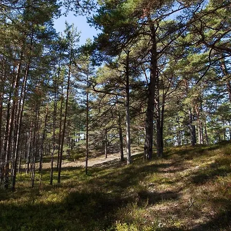 Affittacamere Samblamaa Rannaküla