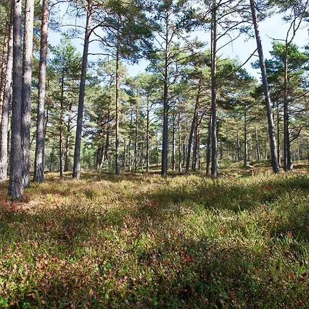 Samblamaa 4* Rannakula (Laanemaa)