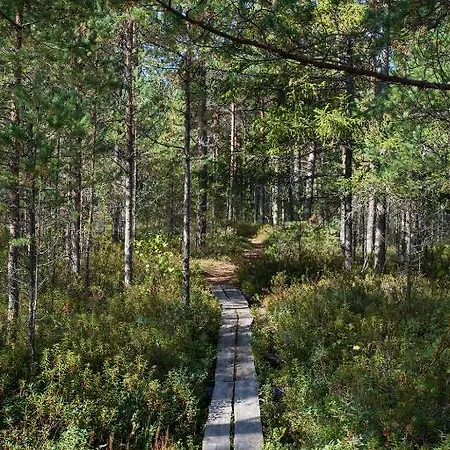 Affittacamere Samblamaa 4*