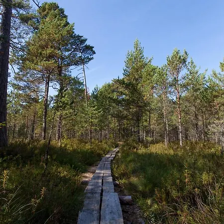 Samblamaa Affittacamere