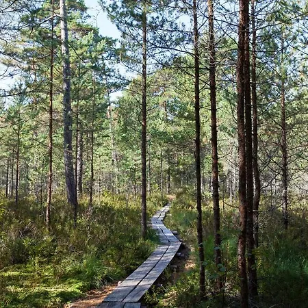 Affittacamere Samblamaa Rannaküla