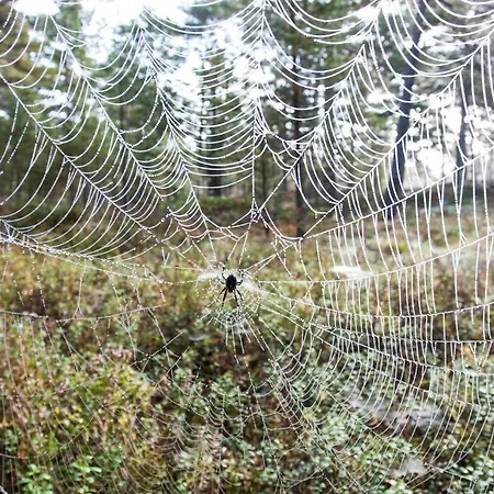 Samblamaa Affittacamere