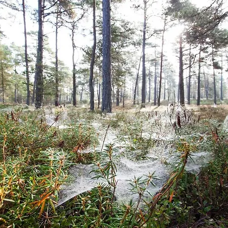 Affittacamere Samblamaa 4*