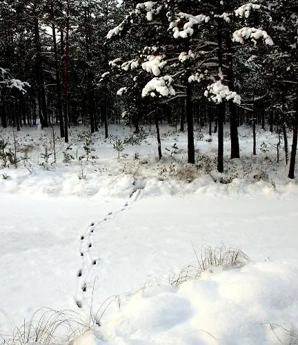 Samblamaa Külalistemaja