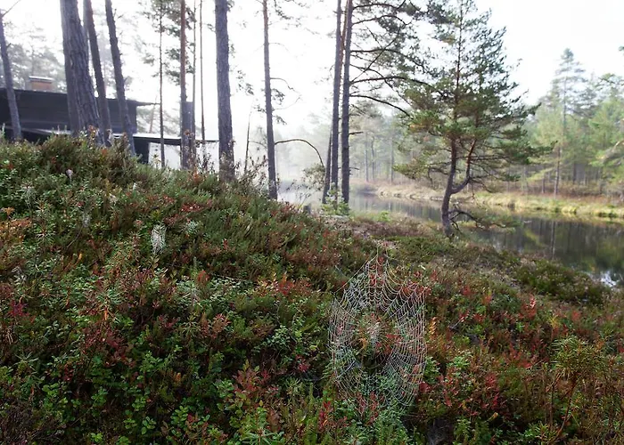 Samblamaa Külalistemaja 4*