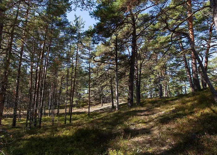 Külalistemaja Samblamaa Rannakula (Laanemaa)