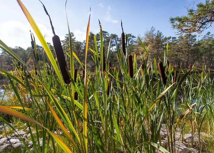 Külalistemaja Samblamaa