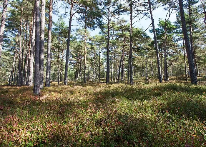 Samblamaa 4* Rannakula (Laanemaa)