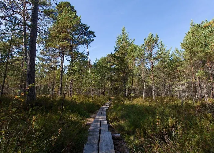 Samblamaa Külalistemaja