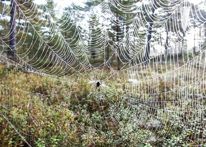 Samblamaa Külalistemaja