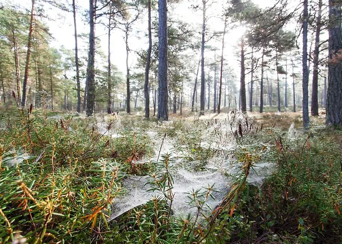 Külalistemaja Samblamaa 4*